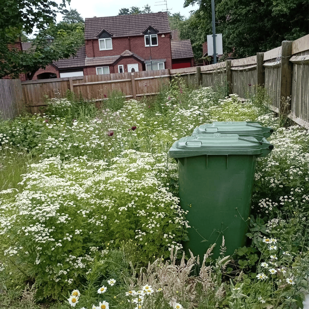 A before picture of a garden transformation showing overgrown grass and ugly fencing